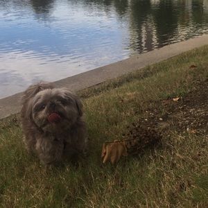 Meet your Posher, James